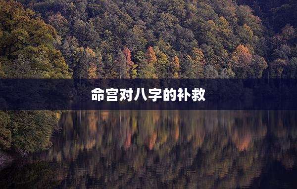 命宫对八字的补救