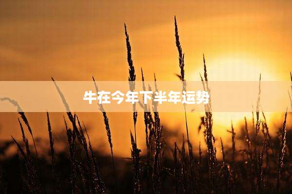 牛在今年下半年运势