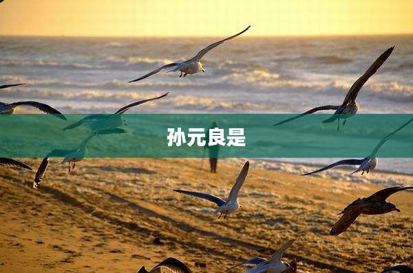 孙元良是