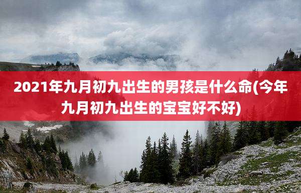 2021年九月初九出生的男孩是什么命(今年九月初九出生的宝宝好不好)