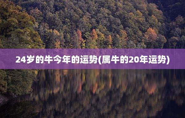 24岁的牛今年的运势(属牛的20年运势)