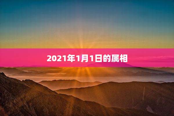 2021年1月1日的属相