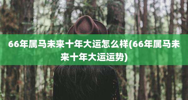 66年属马未来十年大运怎么样(66年属马未来十年大运运势)