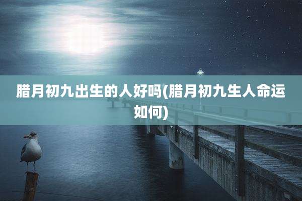 腊月初九出生的人好吗(腊月初九生人命运如何)