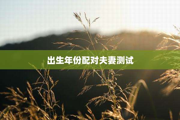 出生年份配对夫妻测试