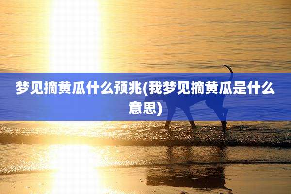 梦见摘黄瓜什么预兆(我梦见摘黄瓜是什么意思)