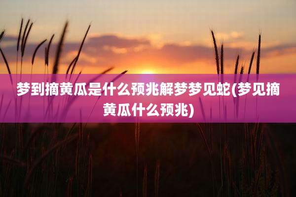 梦到摘黄瓜是什么预兆解梦梦见蛇(梦见摘黄瓜什么预兆)