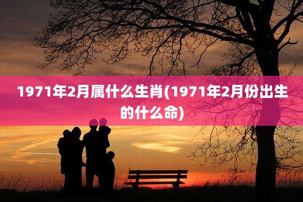 1971年2月属什么生肖(1971年2月份出生的什么命)