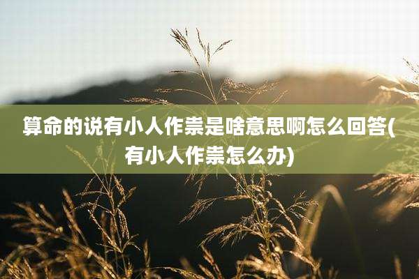 算命的说有小人作祟是啥意思啊怎么回答(有小人作祟怎么办)