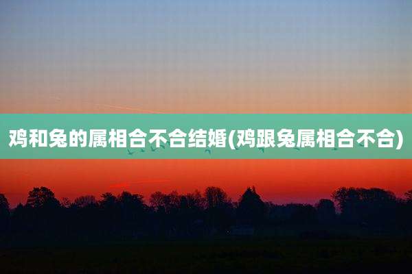 鸡和兔的属相合不合结婚(鸡跟兔属相合不合)