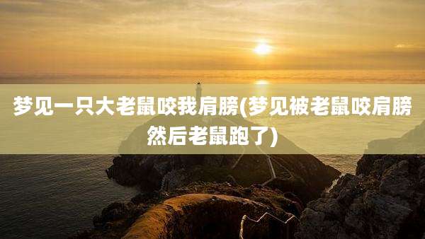 梦见一只大老鼠咬我肩膀(梦见被老鼠咬肩膀然后老鼠跑了)