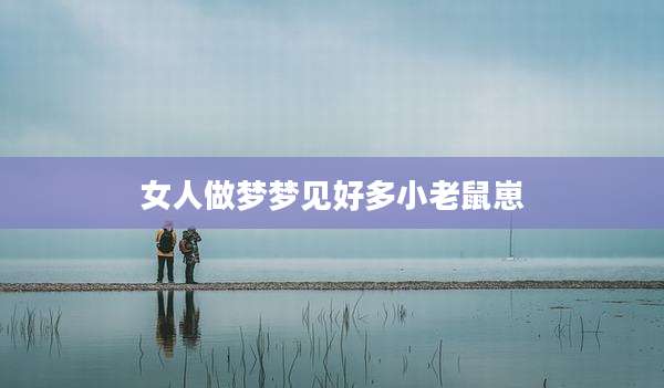 女人做梦梦见好多小老鼠崽