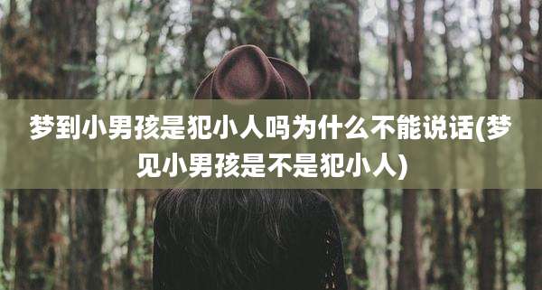 梦到小男孩是犯小人吗为什么不能说话(梦见小男孩是不是犯小人)