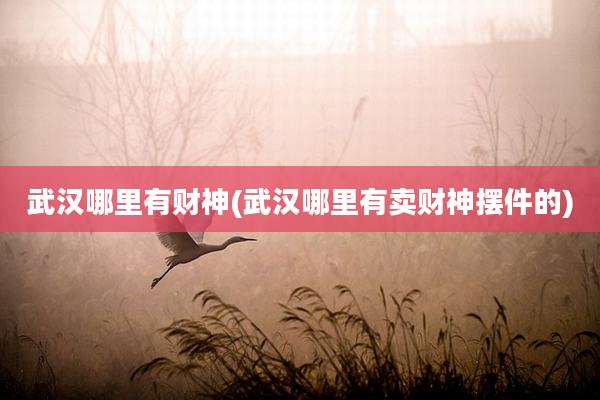 武汉哪里有财神(武汉哪里有卖财神摆件的)