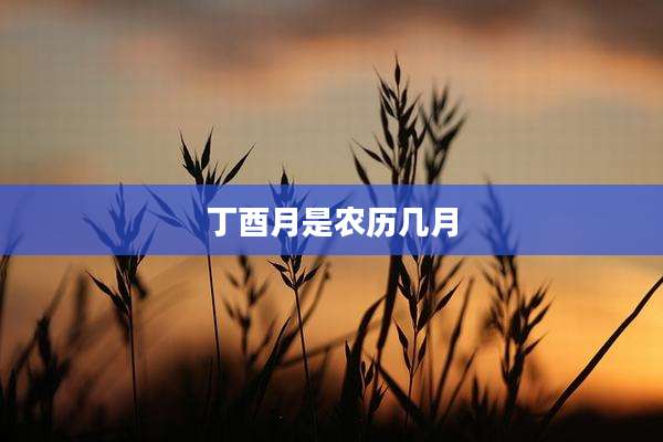 丁酉月是农历几月