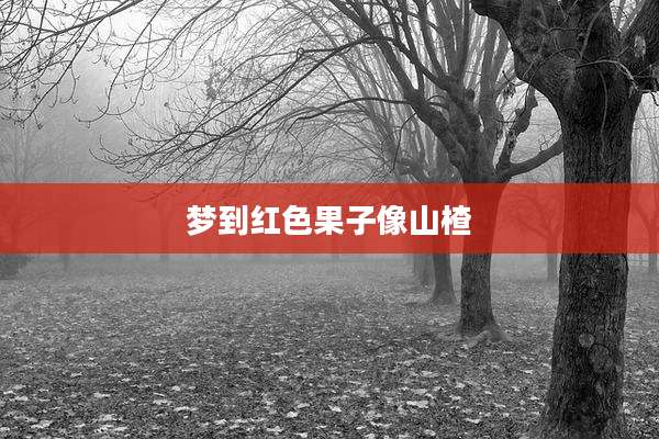 梦到红色果子像山楂