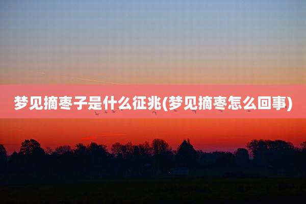 梦见摘枣子是什么征兆(梦见摘枣怎么回事)