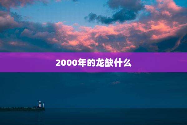 2000年的龙缺什么