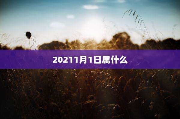 20211月1日属什么