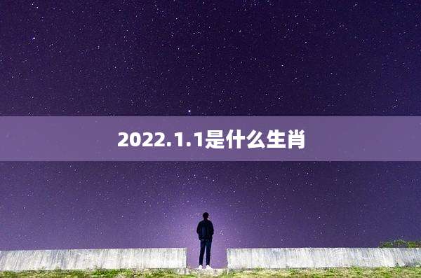 2022.1.1是什么生肖