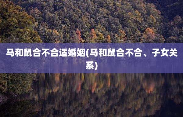马和鼠合不合适婚姻(马和鼠合不合、子女关系)