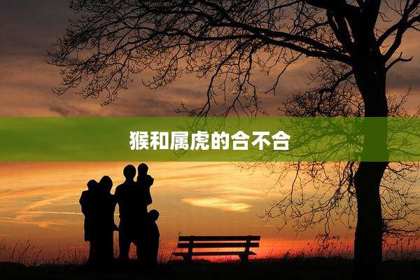 猴和属虎的合不合