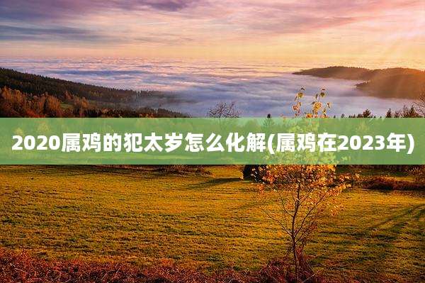 2020属鸡的犯太岁怎么化解(属鸡在2023年)