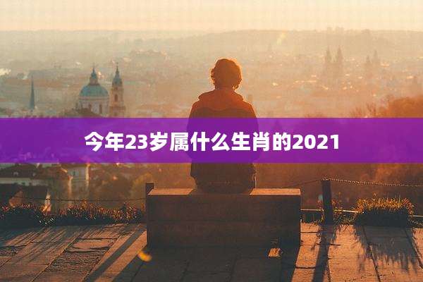 今年23岁属什么生肖的2021