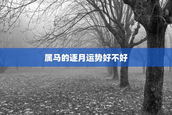 属马的逐月运势好不好