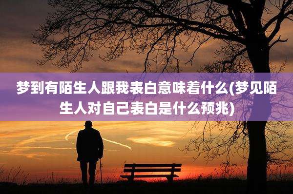 梦到有陌生人跟我表白意味着什么(梦见陌生人对自己表白是什么预兆)