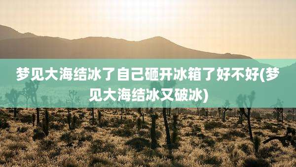 梦见大海结冰了自己砸开冰箱了好不好(梦见大海结冰又破冰)