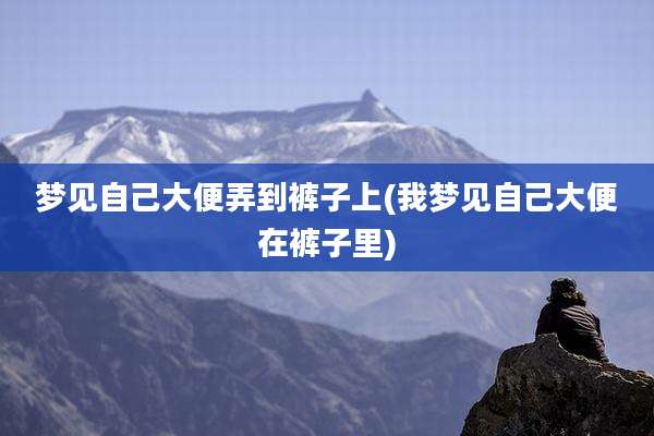 梦见自己大便弄到裤子上(我梦见自己大便在裤子里)