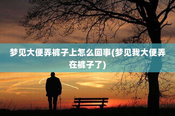 梦见大便弄裤子上怎么回事(梦见我大便弄在裤子了)