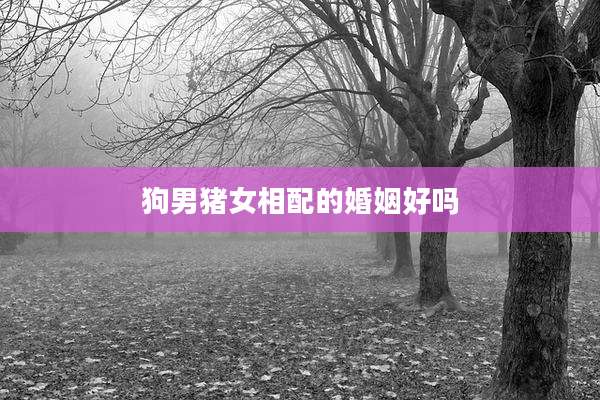 狗男猪女相配的婚姻好吗