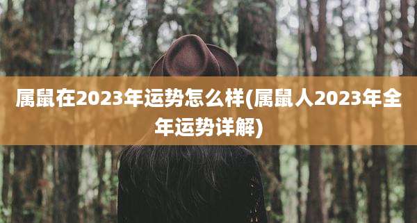 属鼠在2023年运势怎么样(属鼠人2023年全年运势详解)