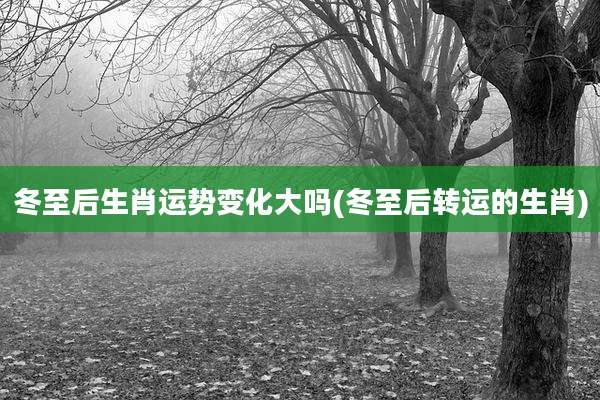 冬至后生肖运势变化大吗(冬至后转运的生肖)