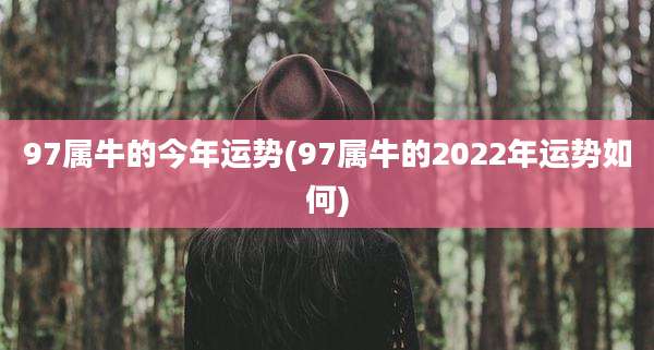 97属牛的今年运势(97属牛的2022年运势如何)