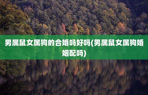 男属鼠女属狗的合婚吗好吗(男属鼠女属狗婚姻配吗)