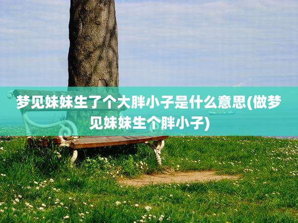 梦见妹妹生了个大胖小子是什么意思(做梦见妹妹生个胖小子)