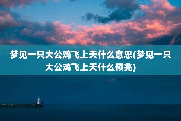 梦见一只大公鸡飞上天什么意思(梦见一只大公鸡飞上天什么预兆)