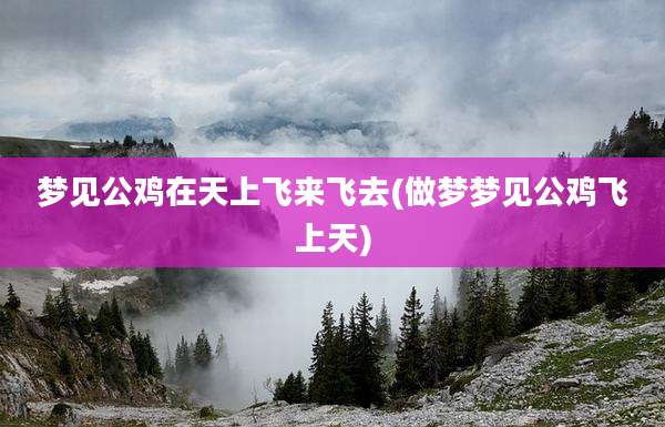 梦见公鸡在天上飞来飞去(做梦梦见公鸡飞上天)