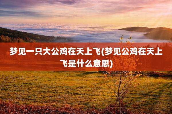 梦见一只大公鸡在天上飞(梦见公鸡在天上飞是什么意思)