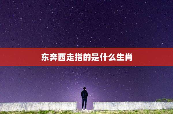 东奔西走指的是什么生肖