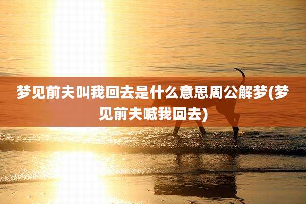 梦见前夫叫我回去是什么意思周公解梦(梦见前夫喊我回去)