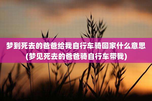 梦到死去的爸爸给我自行车骑回家什么意思(梦见死去的爸爸骑自行车带我)