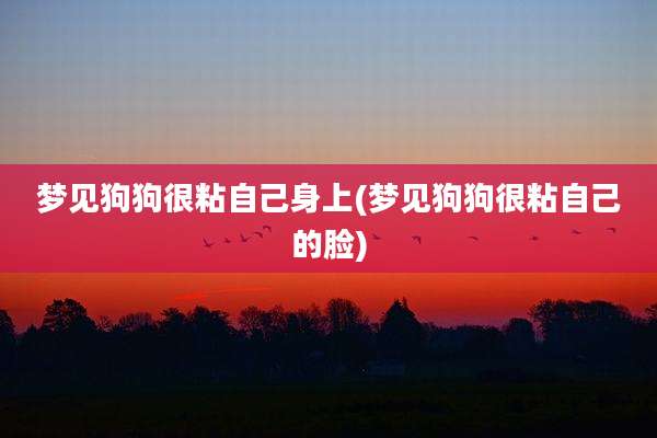 梦见狗狗很粘自己身上(梦见狗狗很粘自己的脸)