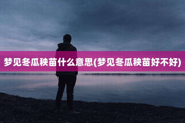 梦见冬瓜秧苗什么意思(梦见冬瓜秧苗好不好)