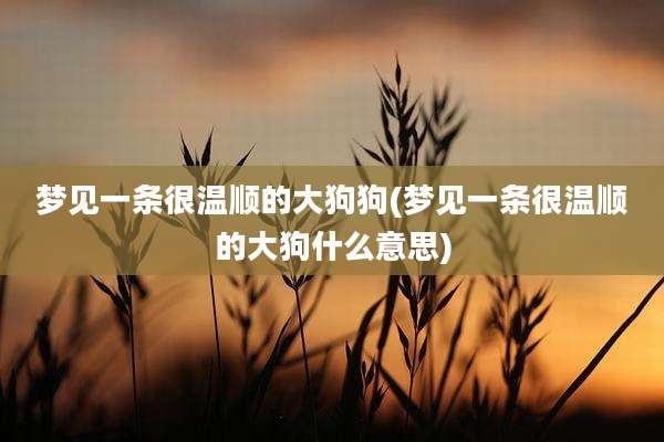 梦见一条很温顺的大狗狗(梦见一条很温顺的大狗什么意思)