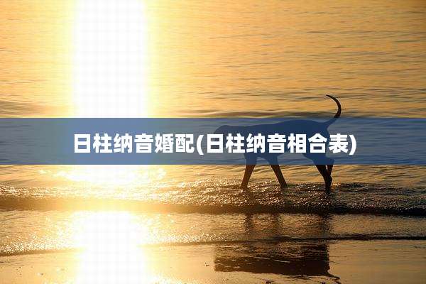 日柱纳音婚配(日柱纳音相合表)