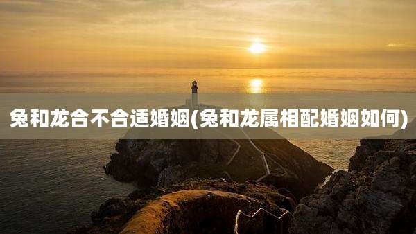 兔和龙合不合适婚姻(兔和龙属相配婚姻如何)